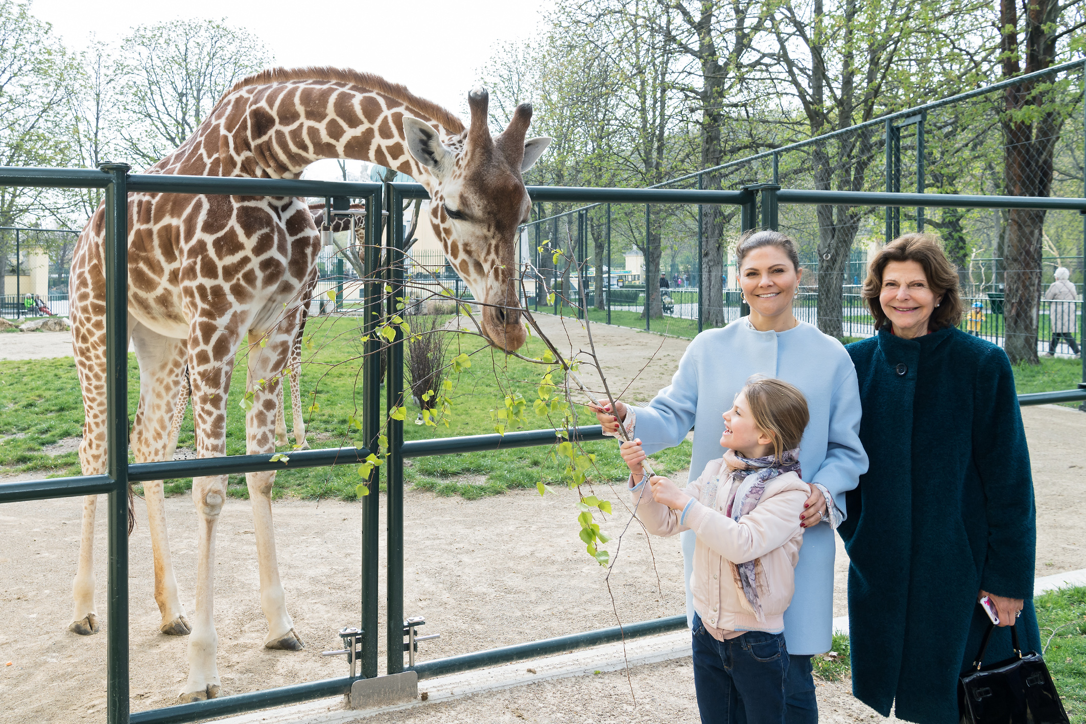 Last summer visited the zoo. Семья в зоопарке. Семейный зоопарк. Поход в зоопарк с семьей. Семья с детьми в зоопарке.